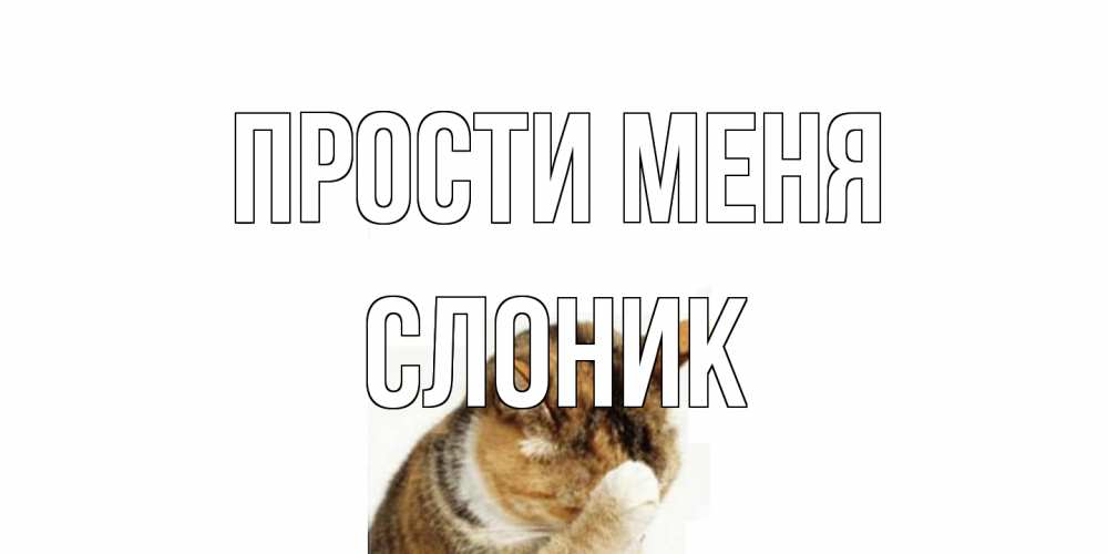 Открытка на каждый день с именем, Слоник Прости меня кот Прикольная открытка с пожеланием онлайн скачать бесплатно 