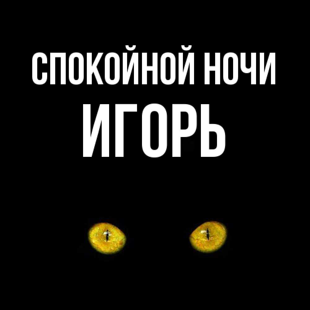 Открытка на каждый день с именем, Игорь Спокойной ночи сладких снов бесстрашный мой дружочек Прикольная открытка с пожеланием онлайн скачать бесплатно 