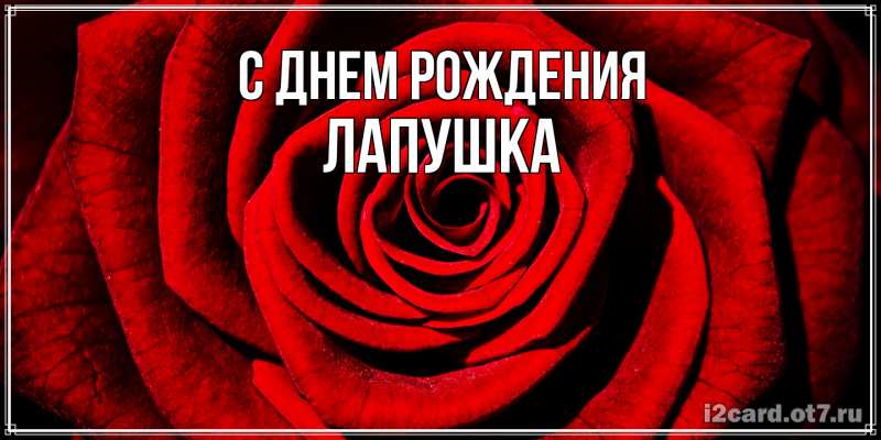 Картинка С днем рождения, лапушка