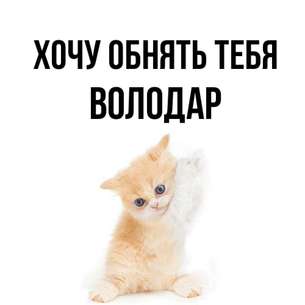 Открытка на каждый день с именем, Володар Хочу обнять тебя я хочу очень скорее обнимаешек Прикольная открытка с пожеланием онлайн скачать бесплатно 