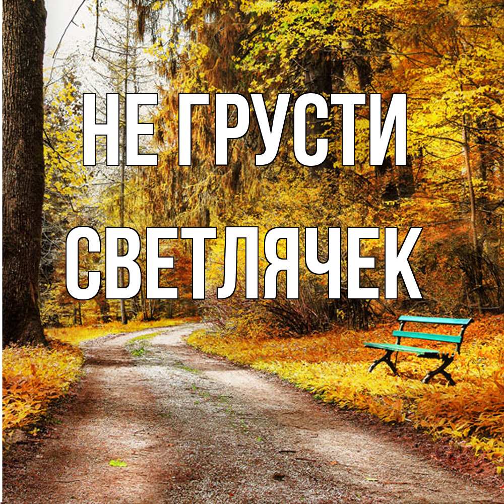 Открытка на каждый день с именем, Светлячек Не грусти зеленая лавочка Прикольная открытка с пожеланием онлайн скачать бесплатно 