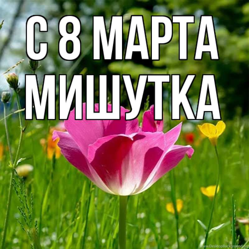 Картинка C 8 МАРТА, Мишутка