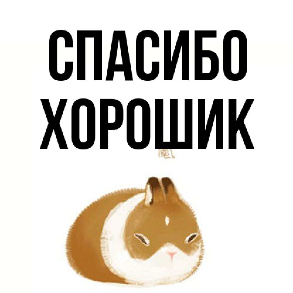 Открытка на каждый день с именем, Хорошик Спасибо коричнево белый домашний питомец Прикольная открытка с пожеланием онлайн скачать бесплатно 