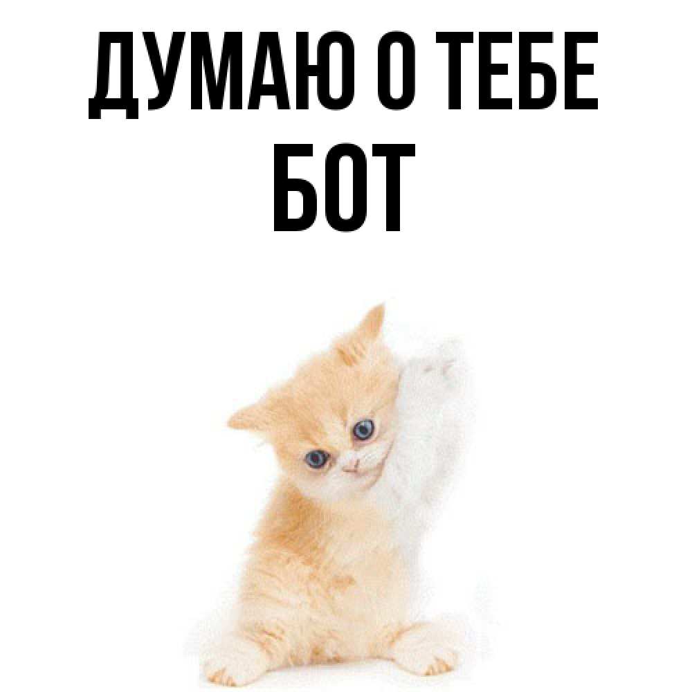 Открытка на каждый день с именем, Бот Думаю о тебе зверушки и милота Прикольная открытка с пожеланием онлайн скачать бесплатно 