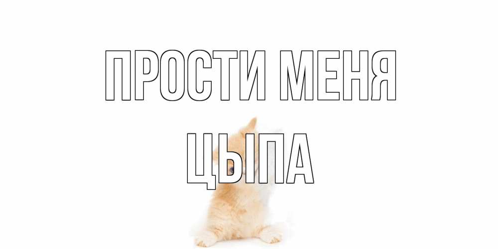 Открытка на каждый день с именем, Цыпа Прости меня кот Прикольная открытка с пожеланием онлайн скачать бесплатно 