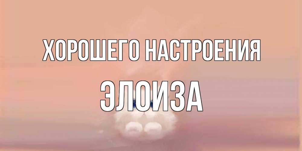 Открытка на каждый день с именем, Элоиза Хорошего настроения кошка Прикольная открытка с пожеланием онлайн скачать бесплатно 