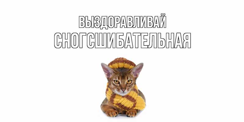 Картинка Выздоравливай, сногсшибательная