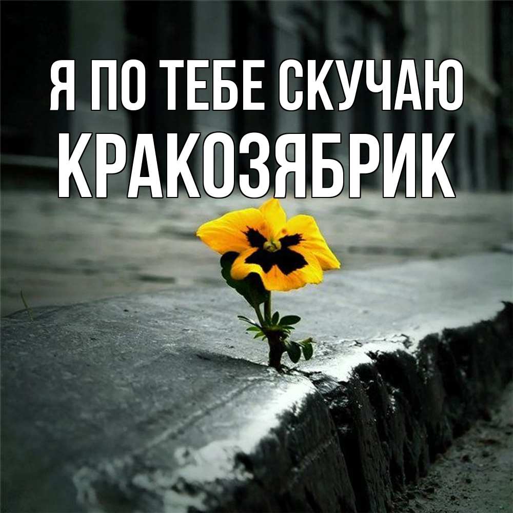 Открытка на каждый день с именем, Кракозябрик Я по тебе скучаю надеюсь будет лучше Прикольная открытка с пожеланием онлайн скачать бесплатно 