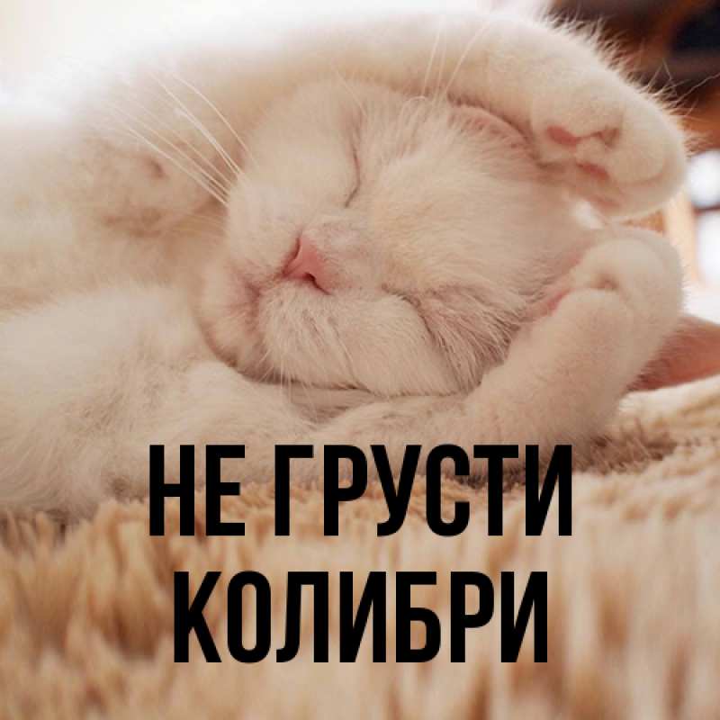 Картинка Не грусти, Колибри