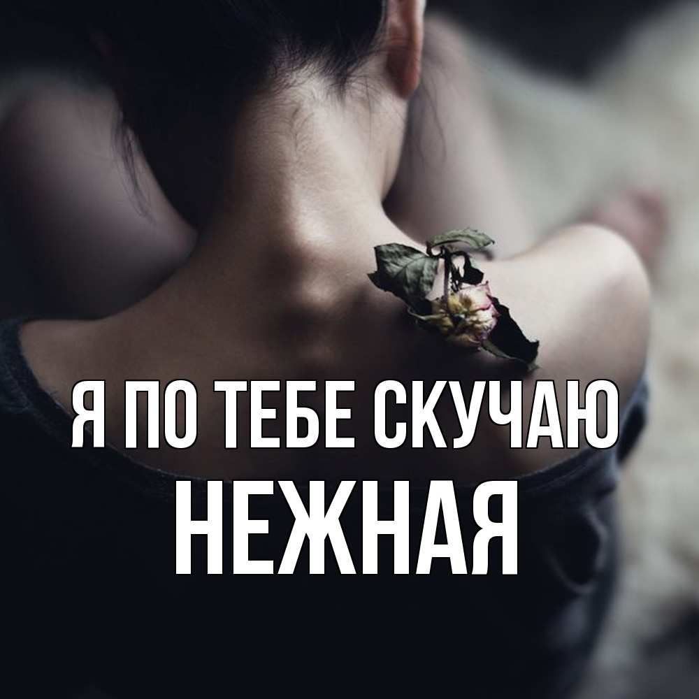 Открытка на каждый день с именем, Нежная Я по тебе скучаю засох цветок Прикольная открытка с пожеланием онлайн скачать бесплатно 