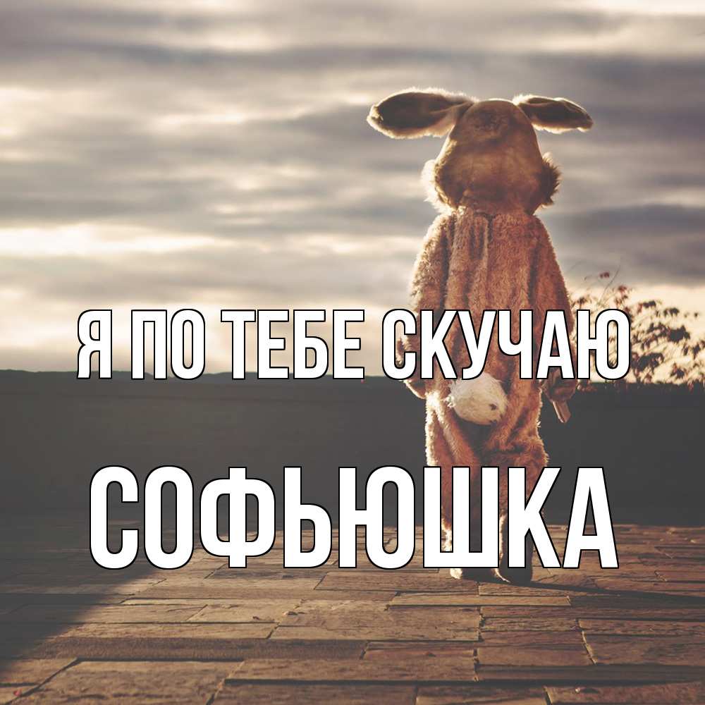 Открытка на каждый день с именем, Софьюшка Я по тебе скучаю даже в костюме зайца Прикольная открытка с пожеланием онлайн скачать бесплатно 
