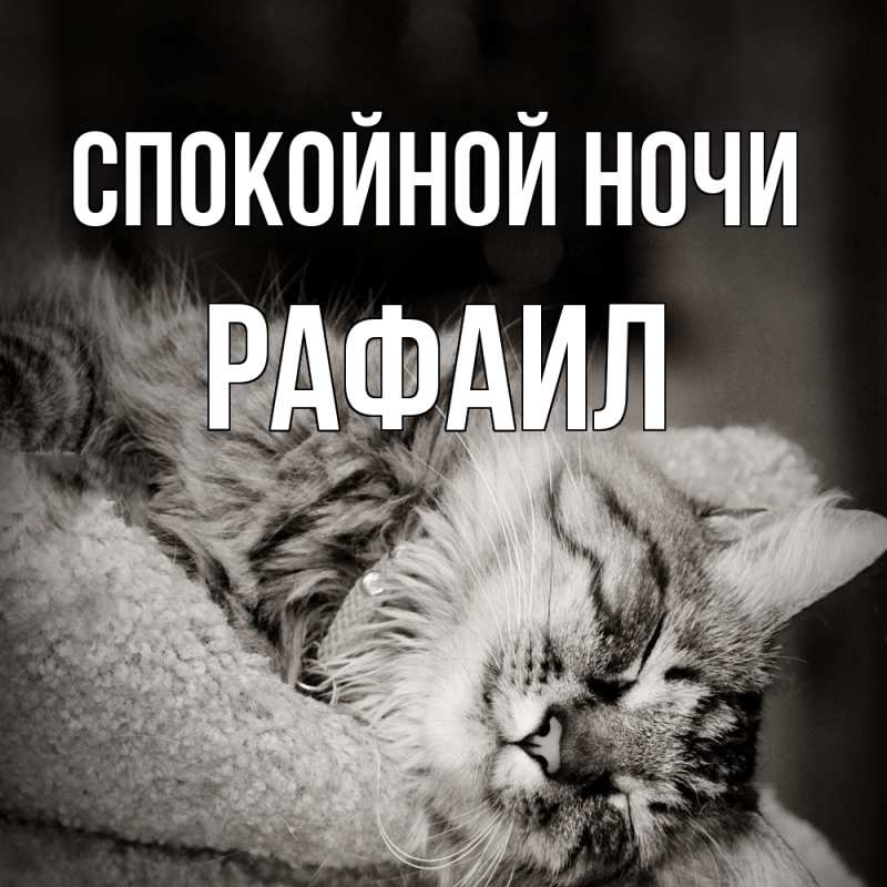 Картинка Спокойной ночи, Рафаил