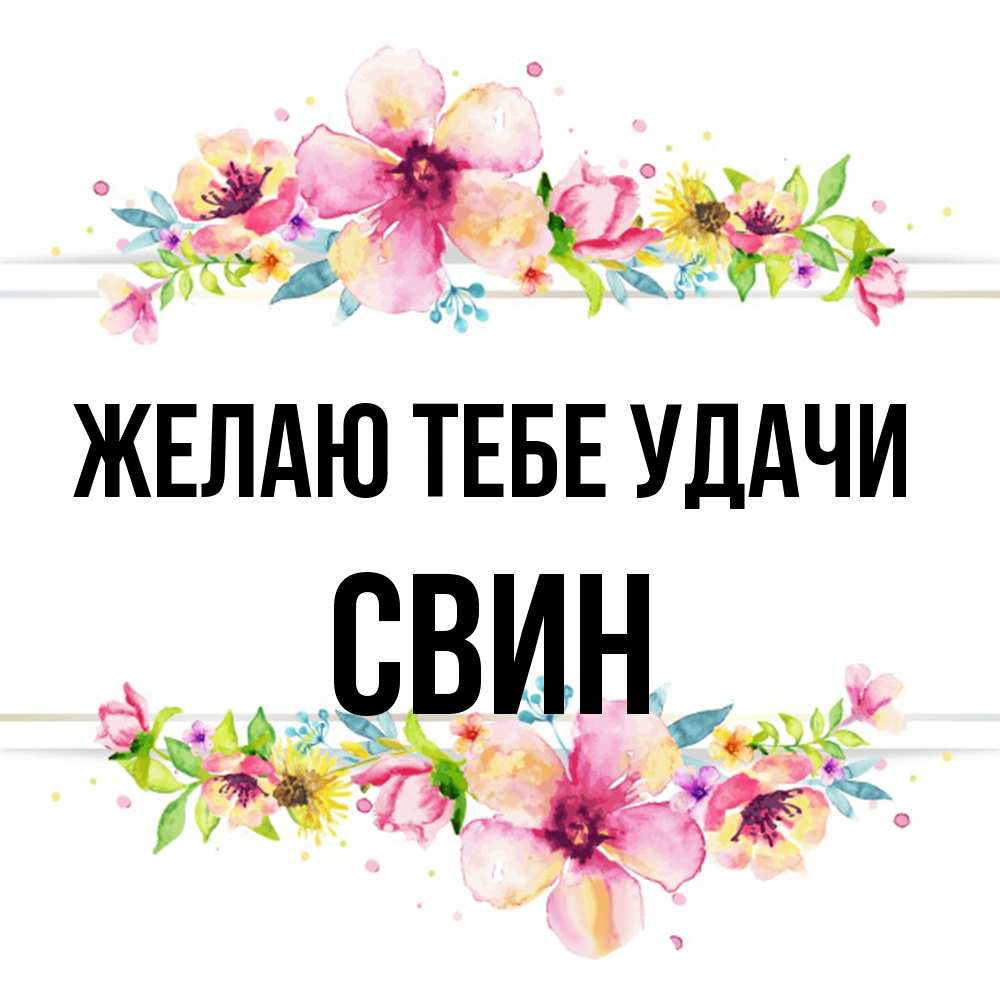 Открытка на каждый день с именем, Свин Желаю тебе удачи пусть повезет 1 Прикольная открытка с пожеланием онлайн скачать бесплатно 