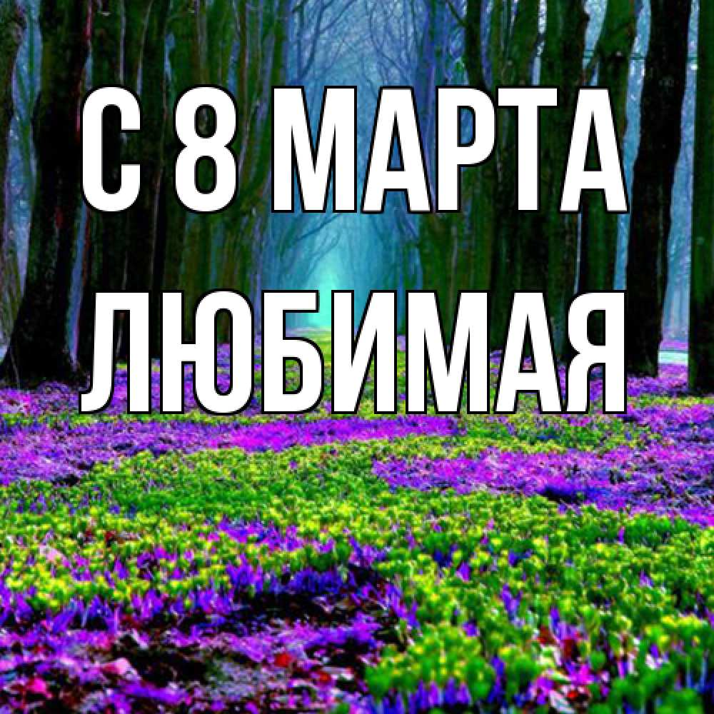 Открытка на каждый день с именем, Любимая C 8 МАРТА фиолетовые цветы в лесу 1 Прикольная открытка с пожеланием онлайн скачать бесплатно 