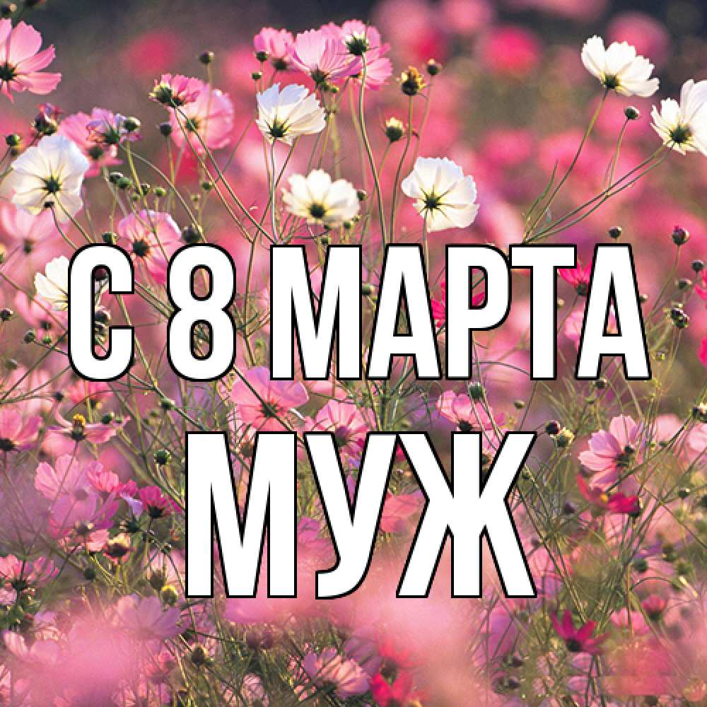 Открытка на каждый день с именем, Муж C 8 МАРТА красиво 1 Прикольная открытка с пожеланием онлайн скачать бесплатно 