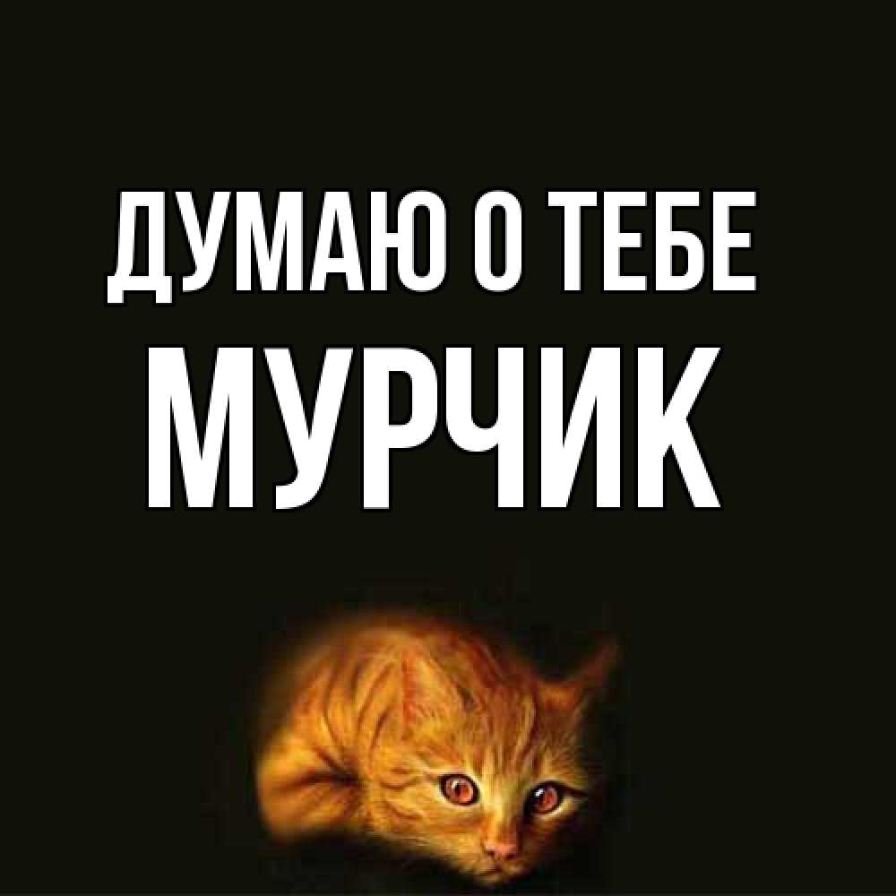 Открытка на каждый день с именем, Мурчик Думаю о тебе рыжий Прикольная открытка с пожеланием онлайн скачать бесплатно 