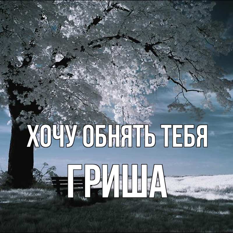 Картинка Хочу обнять тебя, Гриша