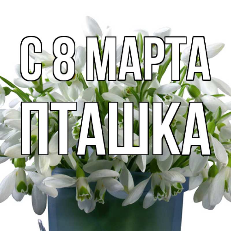 Картинка C 8 МАРТА, пташка