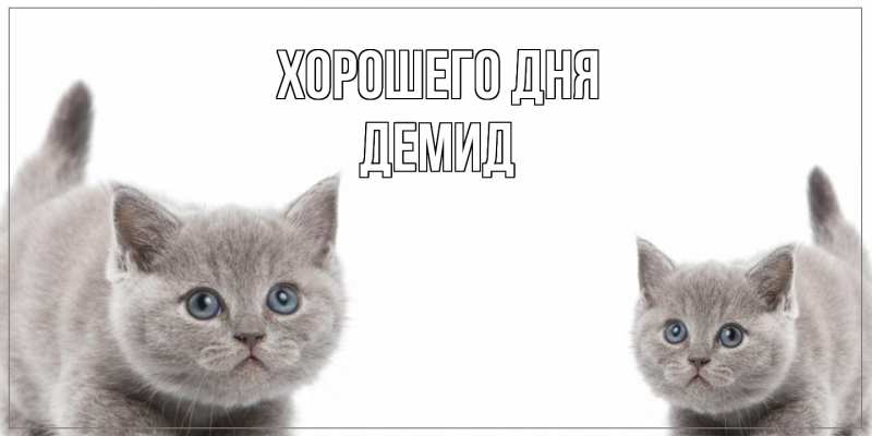 Картинка Хорошего дня, Демид