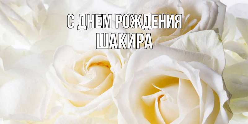 Картинка С днем рождения, Шакира