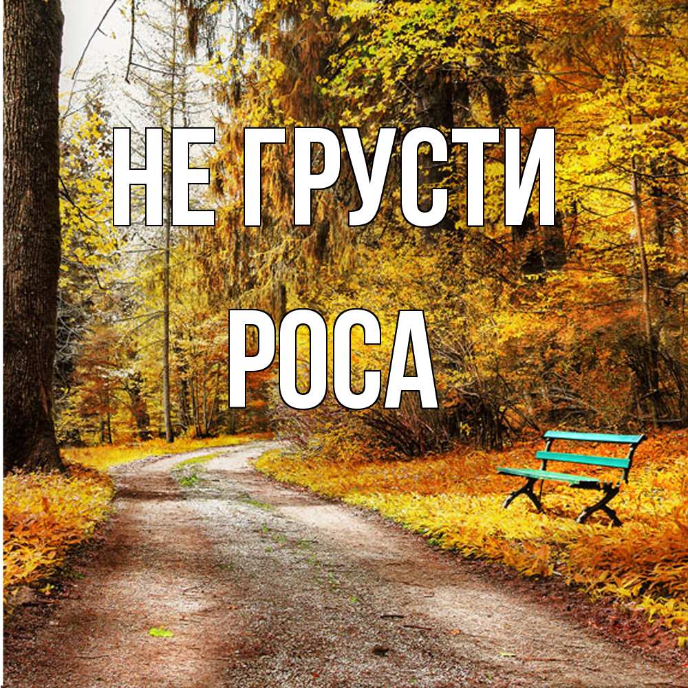 Открытка на каждый день с именем, Роса Не грусти зеленая лавочка Прикольная открытка с пожеланием онлайн скачать бесплатно 