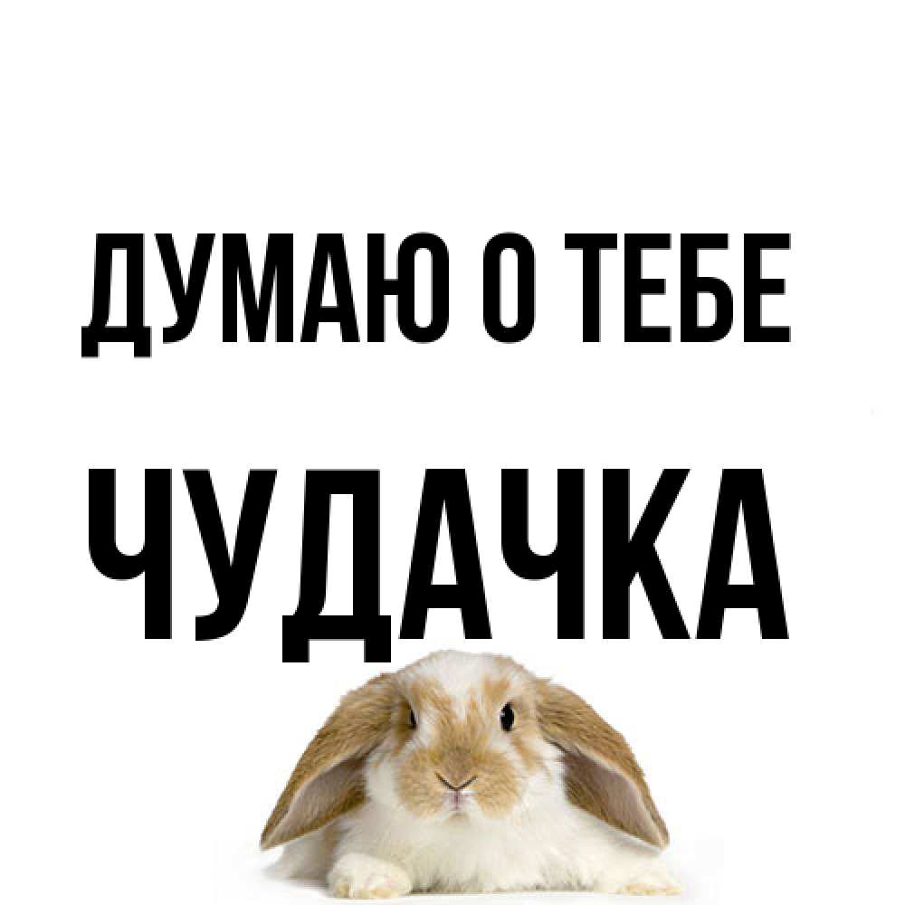 Открытка на каждый день с именем, Чудачка Думаю о тебе подписать своими руками онлайн Прикольная открытка с пожеланием онлайн скачать бесплатно 