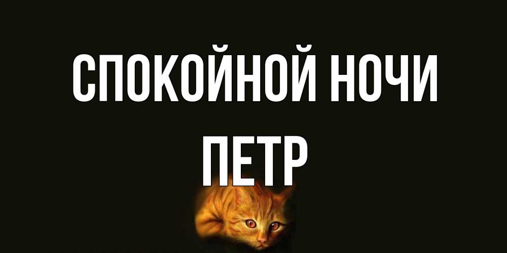 Открытка на каждый день с именем, Петр Спокойной ночи кот Прикольная открытка с пожеланием онлайн скачать бесплатно 
