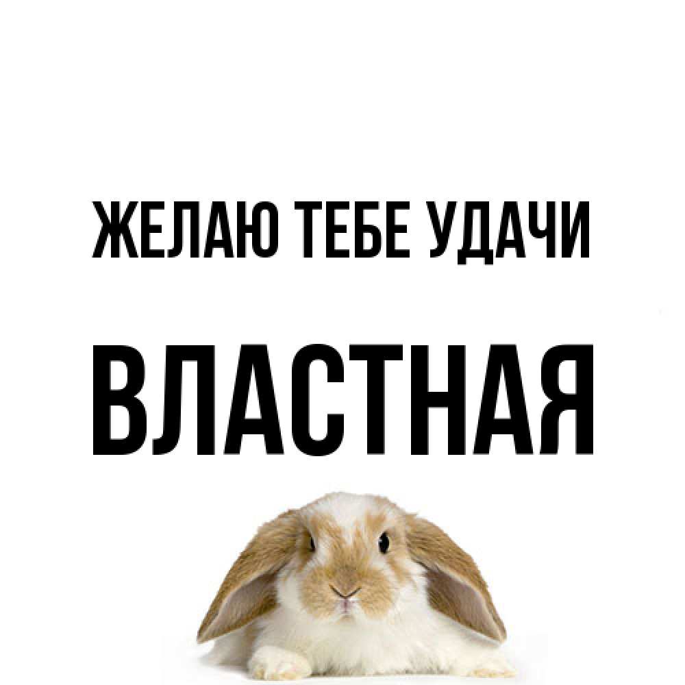 Открытка на каждый день с именем, властная Желаю тебе удачи открытки с произвольным текстом который можно вставить в открытку и создать ее самостоятельно бесплатно онлайн Прикольная открытка с пожеланием онлайн скачать бесплатно 