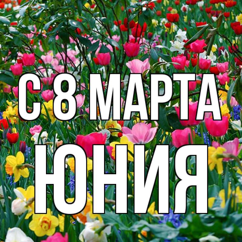 Картинка C 8 МАРТА, Юния