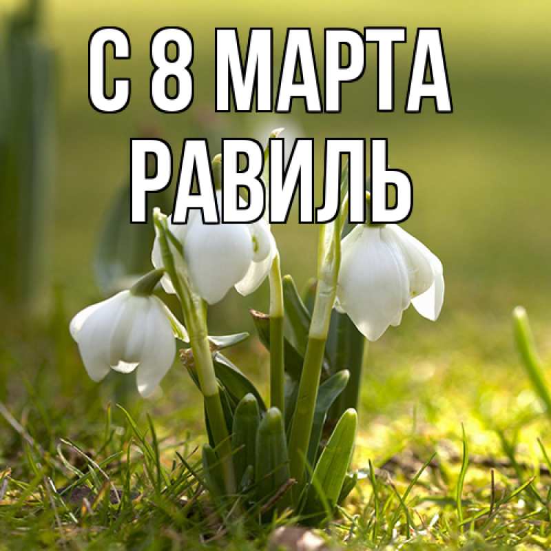 Картинка C 8 МАРТА, Равиль