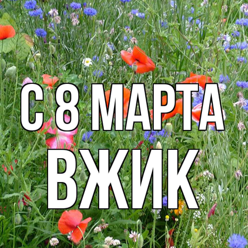 Открытка на каждый день с именем, Вжик C 8 МАРТА международный женский день 4 Прикольная открытка с пожеланием онлайн скачать бесплатно 