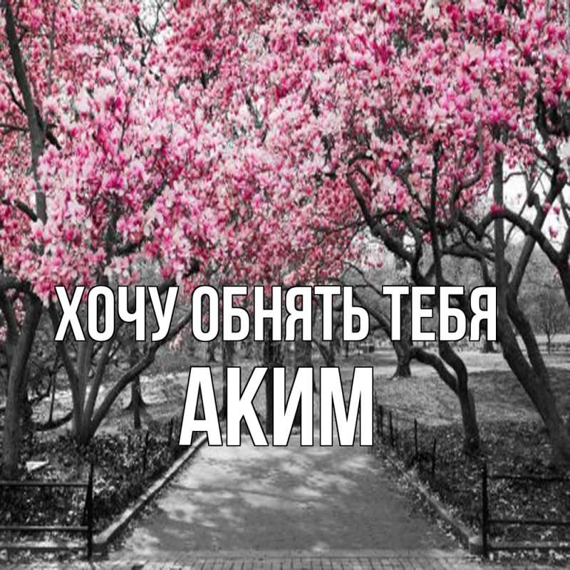 Картинка Хочу обнять тебя, Аким
