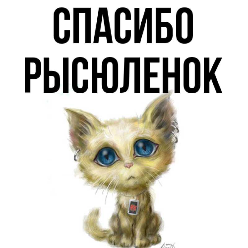 Картинка Спасибо, Рысюленок