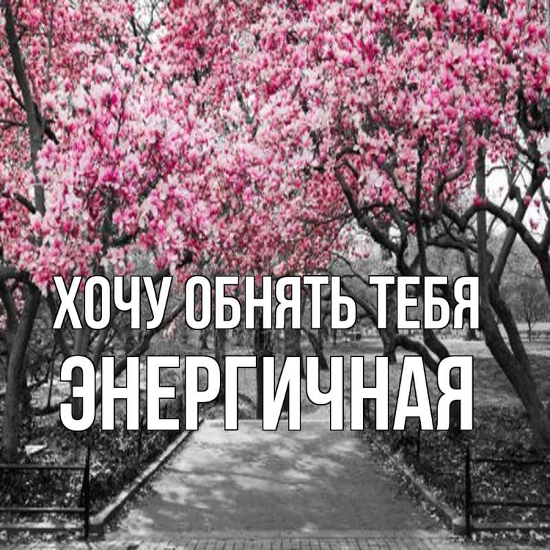 Картинка Хочу обнять тебя, Энергичная