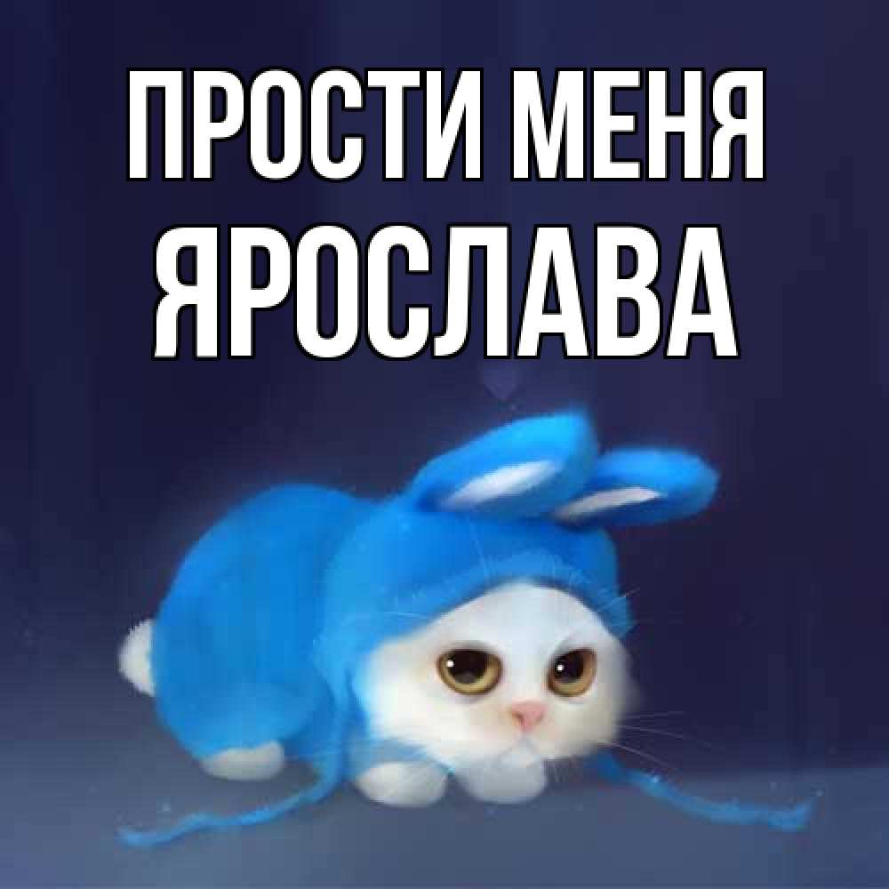 Открытка на каждый день с именем, Ярослава Прости меня невинный котозай просит прощения Прикольная открытка с пожеланием онлайн скачать бесплатно 