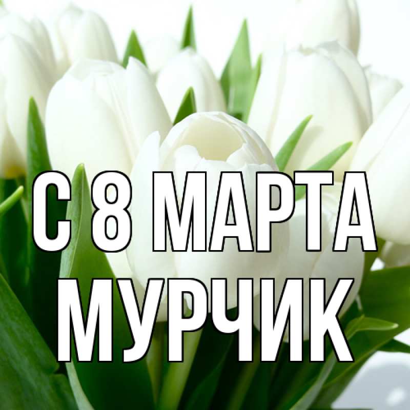Картинка C 8 МАРТА, Мурчик