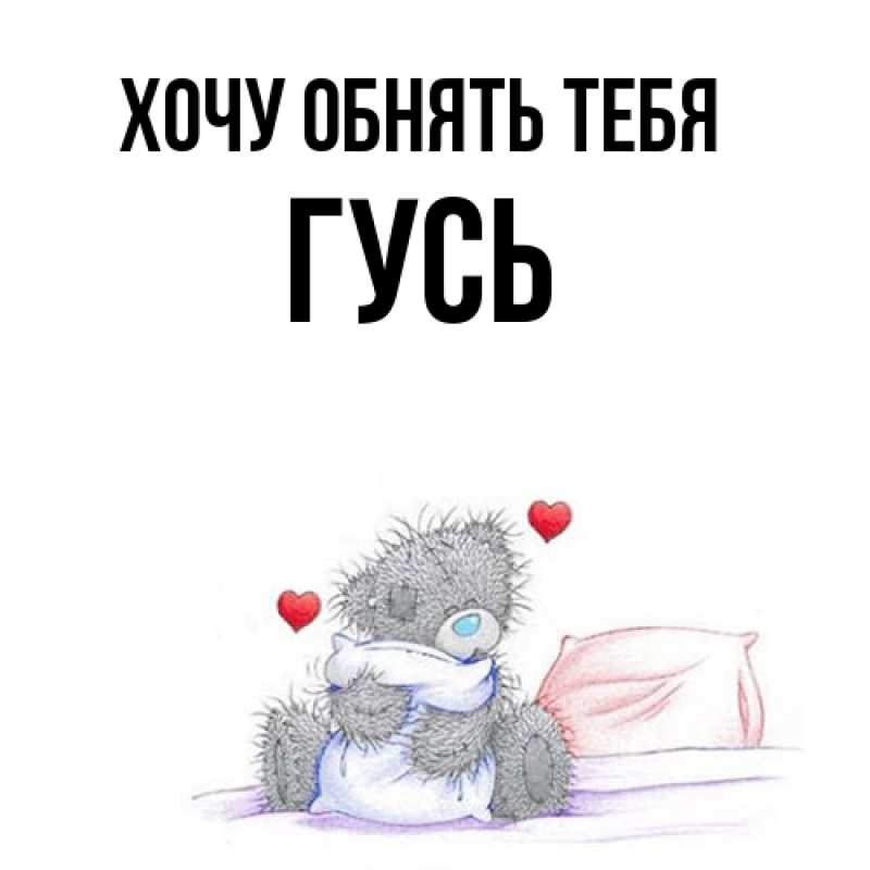 Картинка Хочу обнять тебя, Гусь