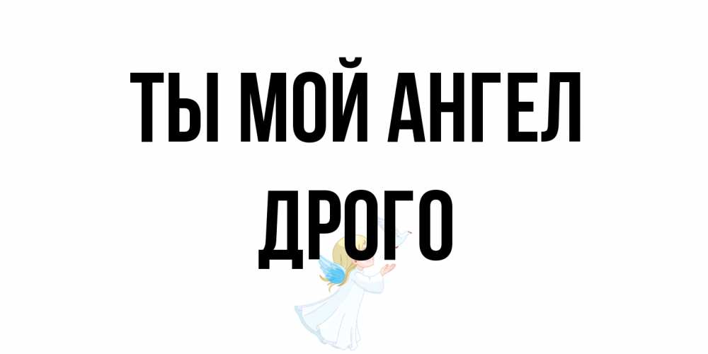 Открытка на каждый день с именем, Дрого Ты мой ангел ангел, голубь Прикольная открытка с пожеланием онлайн скачать бесплатно 