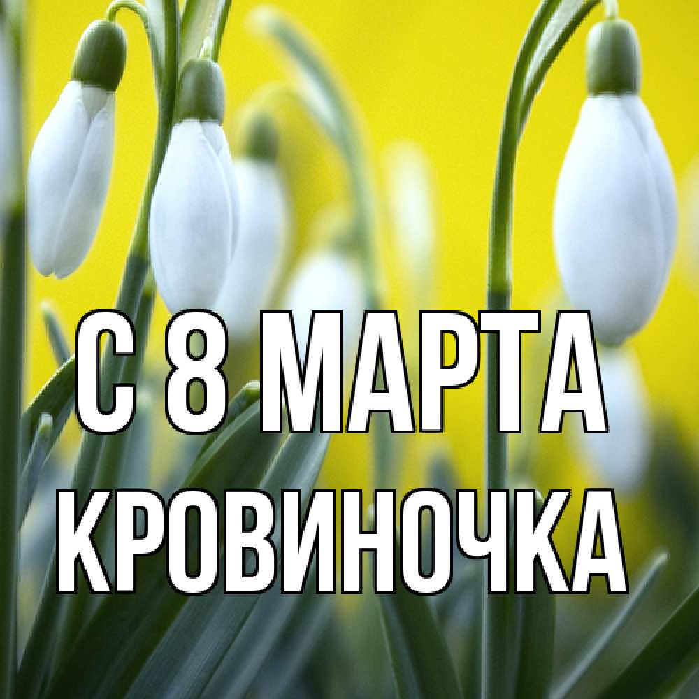 Открытка на каждый день с именем, кровиночка C 8 МАРТА весенние цветы Прикольная открытка с пожеланием онлайн скачать бесплатно 