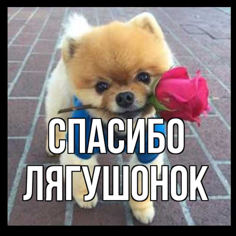 Открытка с именем, лягушонок, Спасибо