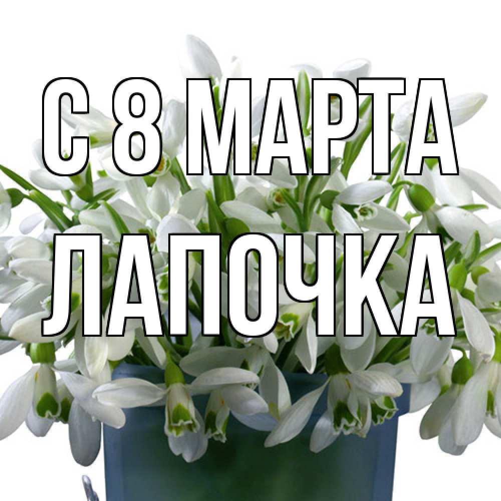 Открытка на каждый день с именем, лапочка C 8 МАРТА цветы к международному женскому дню Прикольная открытка с пожеланием онлайн скачать бесплатно 