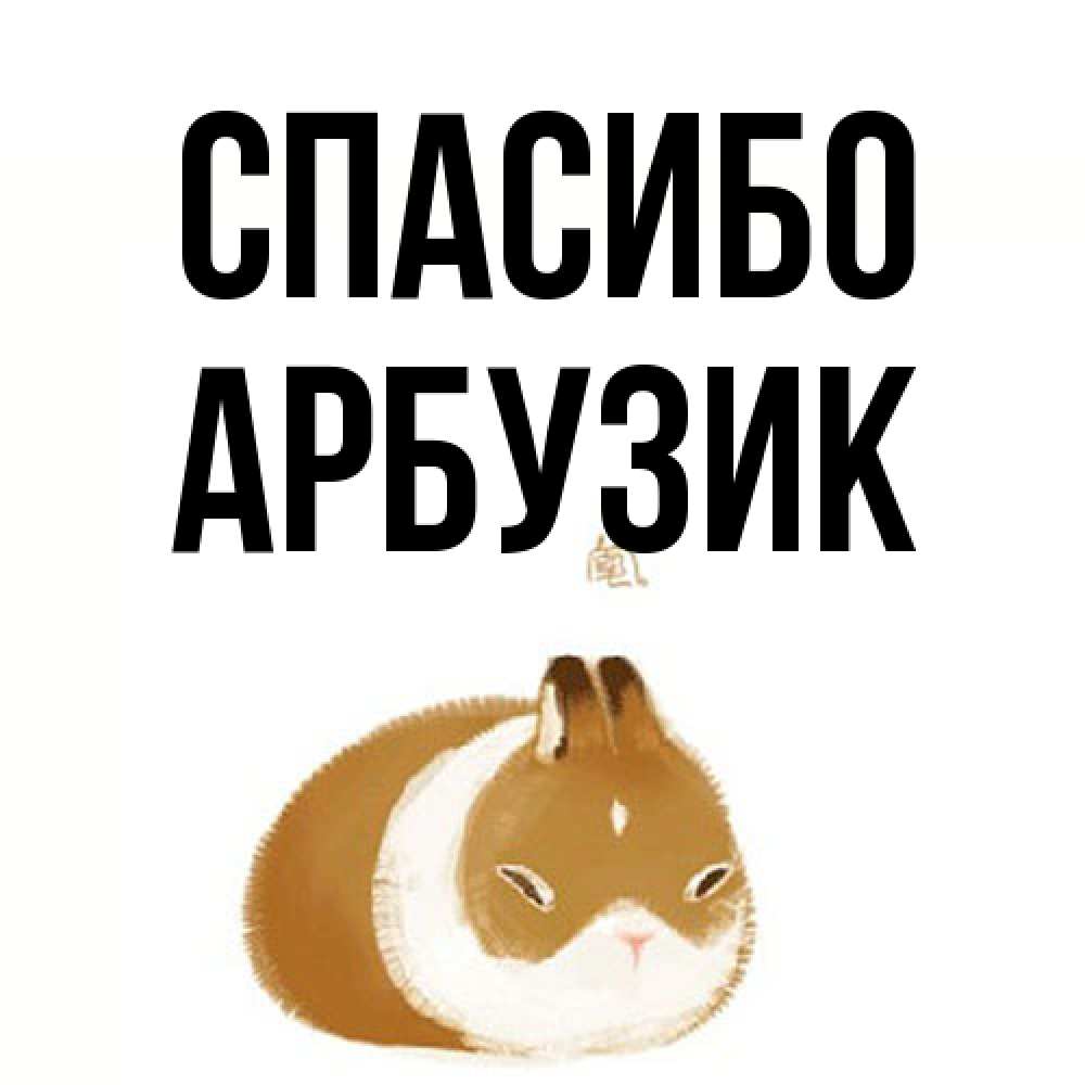 Открытка на каждый день с именем, Арбузик Спасибо коричнево белый домашний питомец Прикольная открытка с пожеланием онлайн скачать бесплатно 
