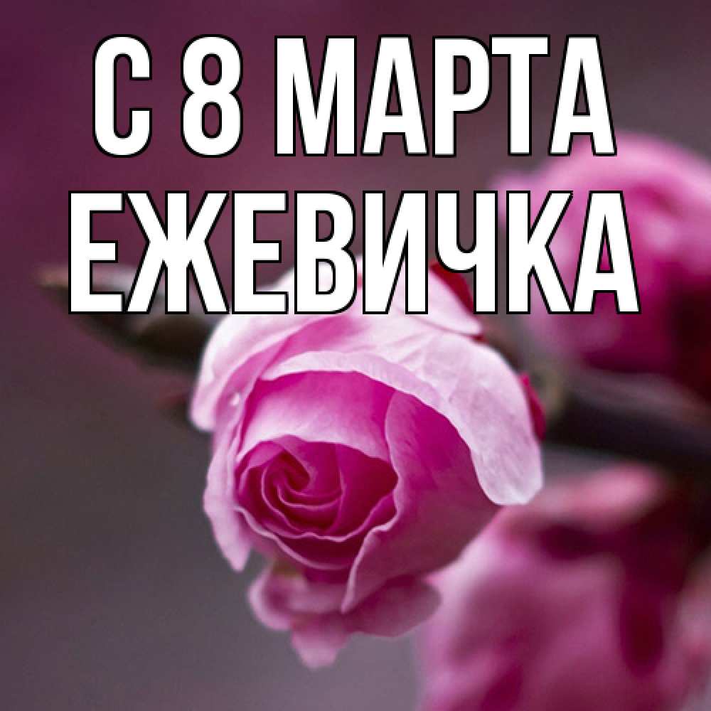 Открытка на каждый день с именем, ежевичка C 8 МАРТА весна Прикольная открытка с пожеланием онлайн скачать бесплатно 