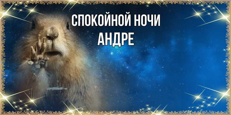 Картинка Спокойной ночи, Андре