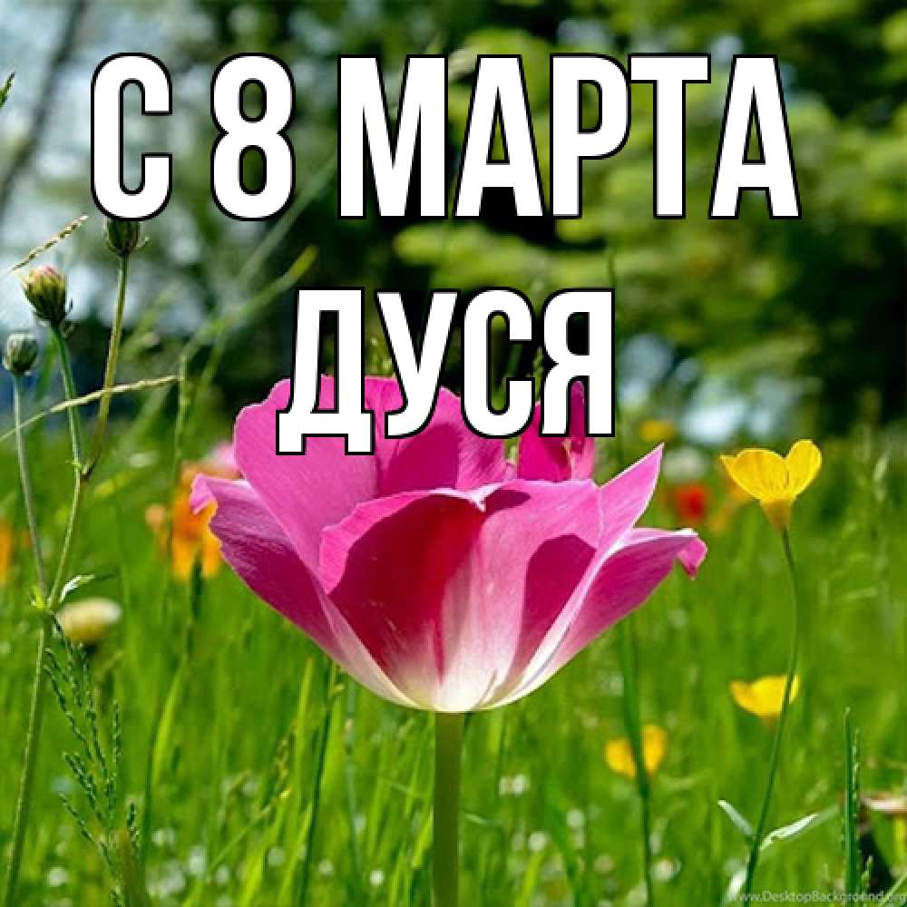 Открытка на каждый день с именем, Дуся C 8 МАРТА полевые цветы Прикольная открытка с пожеланием онлайн скачать бесплатно 
