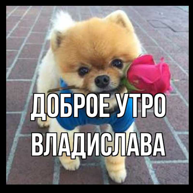 Картинка Доброе утро, Владислава