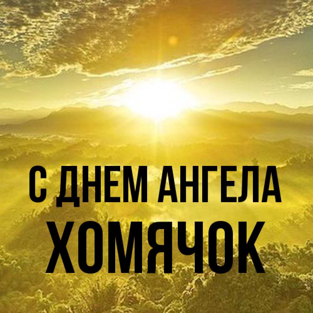 Открытка на каждый день с именем, Хомячок С днем ангела леса и небо в желтом Прикольная открытка с пожеланием онлайн скачать бесплатно 