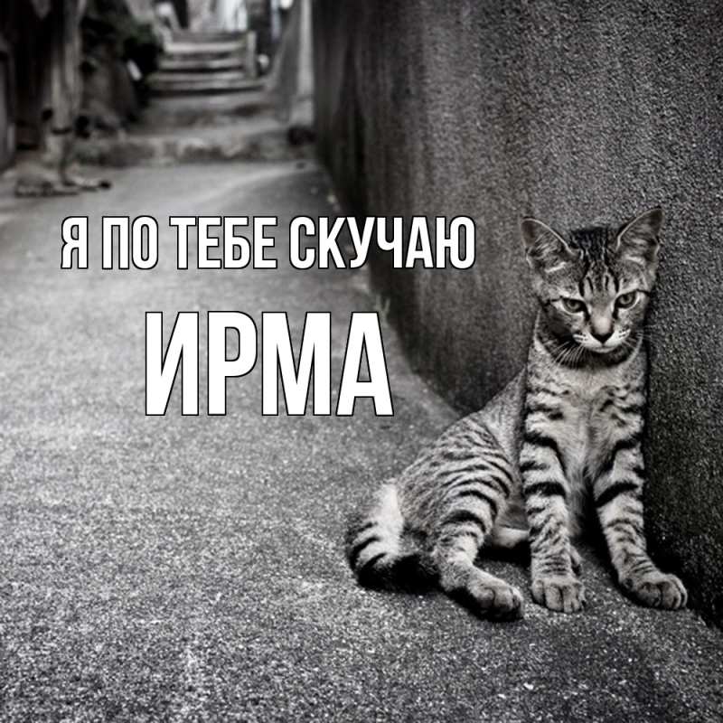 Картинка Я по тебе скучаю, Ирма