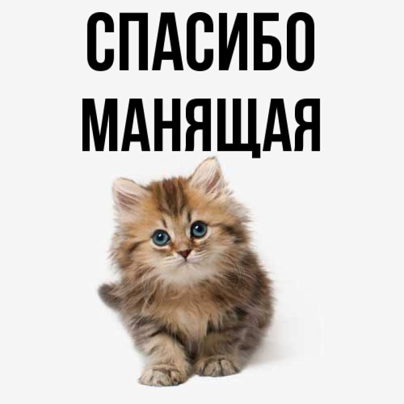 Картинка Спасибо, манящая