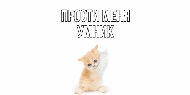 Картинка Прости меня, Умник